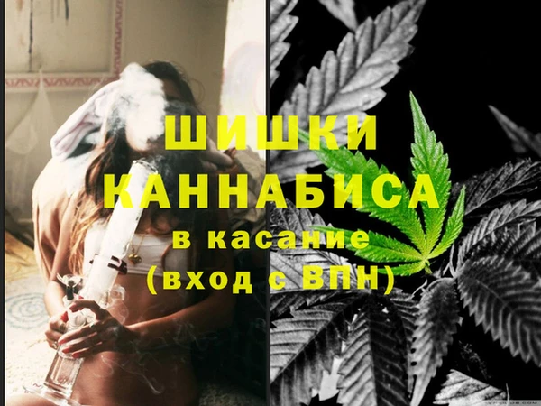 тгк Инсар