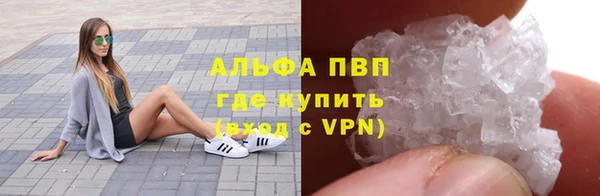тгк Инсар