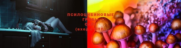 скорость Зерноград