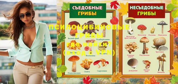 скорость Зерноград