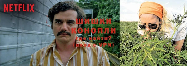 кокс Инта
