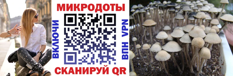 Псилоцибиновые грибы прущие грибы  Купить где  Поронайск 