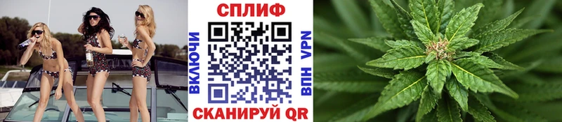 Конопля White Widow Поронайск